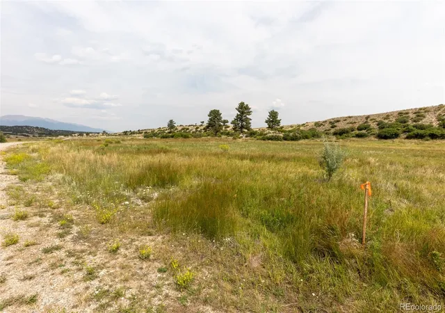 Homes for sale in Buena Vista, CO | 24230 River Rock Ln, Buena Vista, CO 81211 | MLS# 7896073
