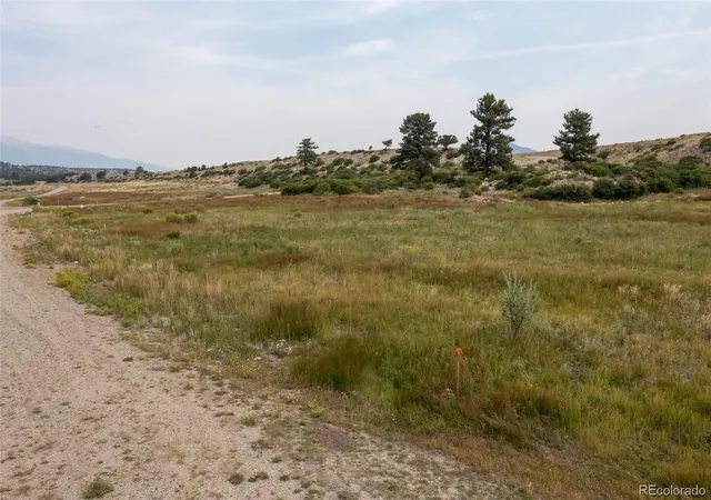 Homes for sale in Buena Vista, CO | 24230 River Rock Ln, Buena Vista, CO 81211 | MLS# 7896073