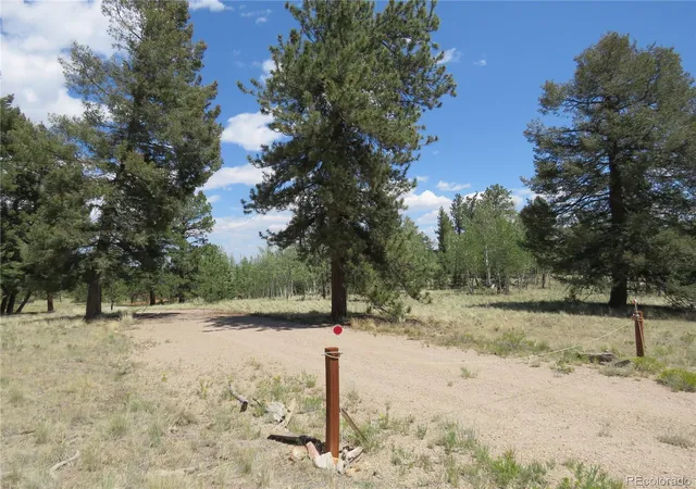Homes for sale in Hartsel, CO | 9389 Ranch Rd, Hartsel, CO 80449 | MLS# 9575635