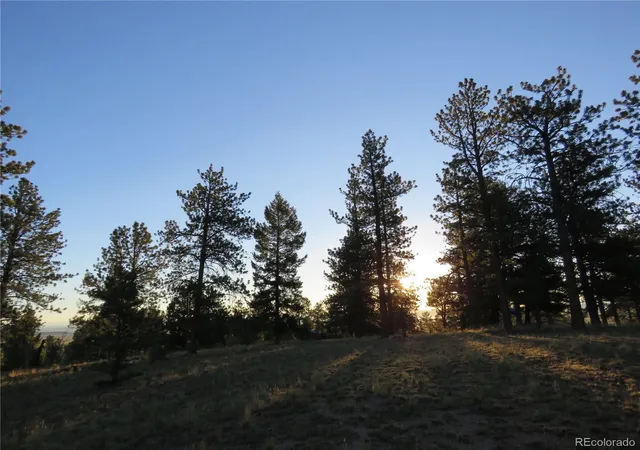Homes for sale in Hartsel, CO | 9389 Ranch Rd, Hartsel, CO 80449 | MLS# 9575635
