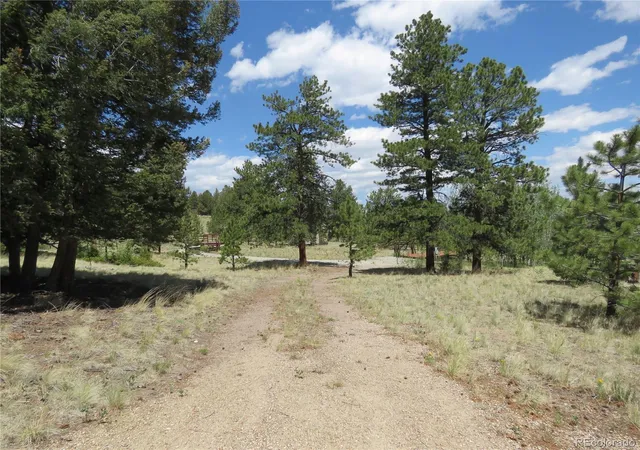 Homes for sale in Hartsel, CO | 9389 Ranch Rd, Hartsel, CO 80449 | MLS# 9575635