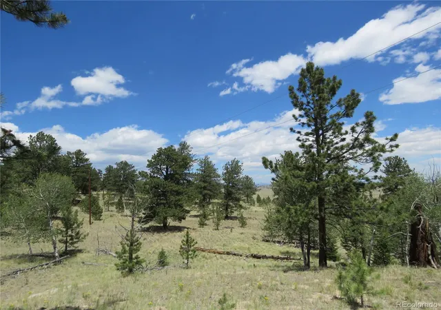Photo 3 of Land for sale at 9389 Ranch Rd, Hartsel, CO 80449 | MLS# 9575635 | Listing updated on 2026-08-25