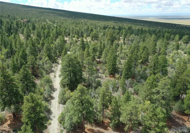 Homes for sale in Mosca, CO | Big Bear Rd, Mosca, CO 81146 | MLS# 8303563