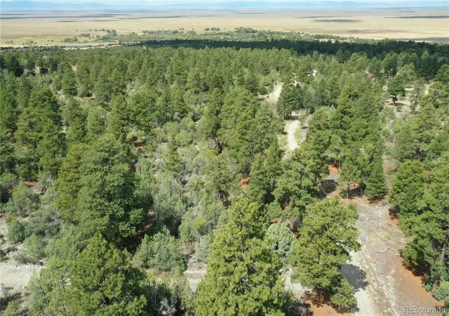 Homes for sale in Mosca, CO | Big Bear Rd, Mosca, CO 81146 | MLS# 8303563
