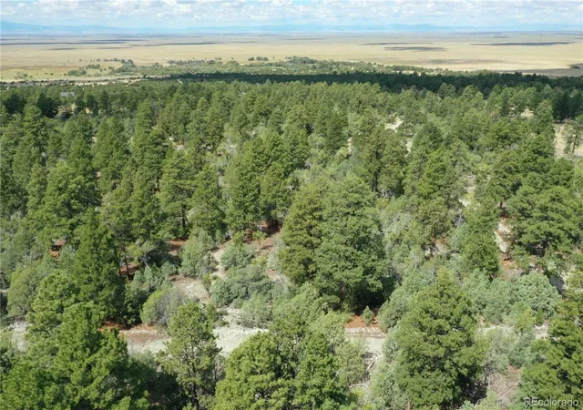 Homes for sale in Mosca, CO | Big Bear Rd, Mosca, CO 81146 | MLS# 8303563