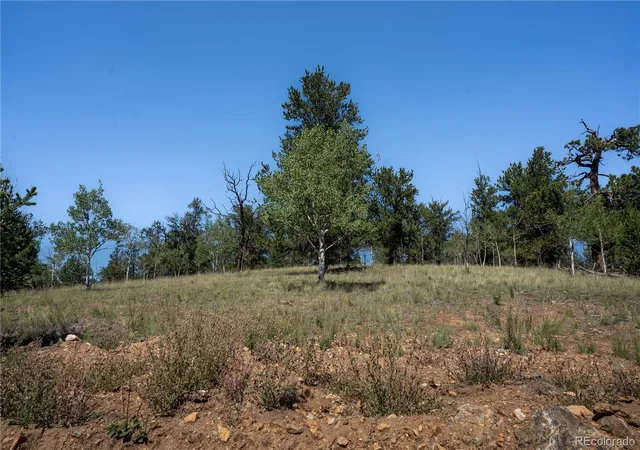 Photo 3 of Land for sale at 530 Gitche Goone Ln, Como, CO 80432 | MLS# 5162576 | Listing updated on 2026-08-18
