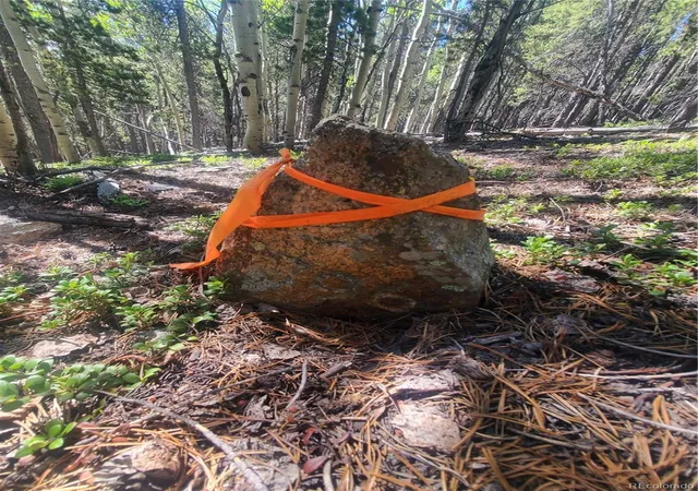 15th image of 01 S Spring Gulch Rd, Idaho Springs, CO 80452 | MLS# 6927228