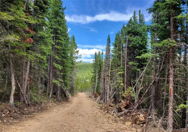 3rd image of 01 S Spring Gulch Rd, Idaho Springs, CO 80452 | MLS# 6927228