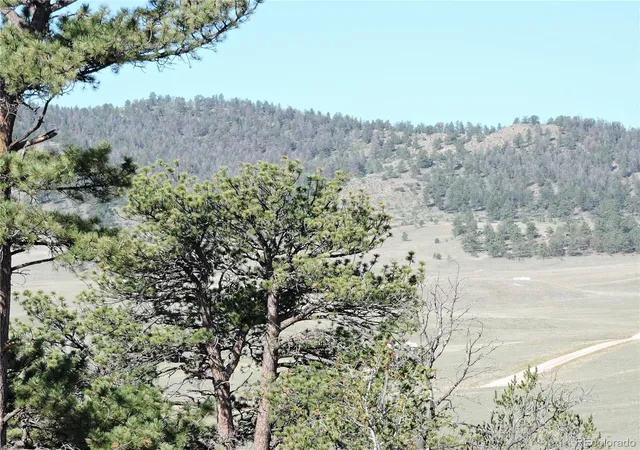 Photo 3 of Land for sale at 640 Arapaho Trl, Hartsel, CO 80449 | MLS# 4947944 | Listing updated on 2026-09-08