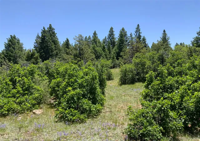 Photo 4 of Land for sale at 000 Peak View Ridge, Canon City, CO 81212 | MLS# 7208135 | Listing updated on 2026-09-17