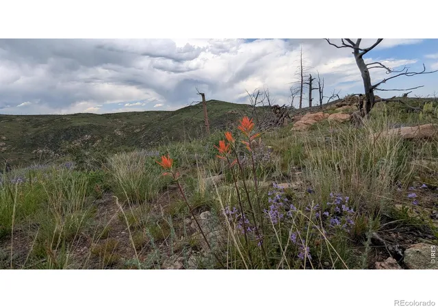 Land for sale at 1324 Meadow Mountain Way, Livermore, CO 80536 | MLS# IR1043360