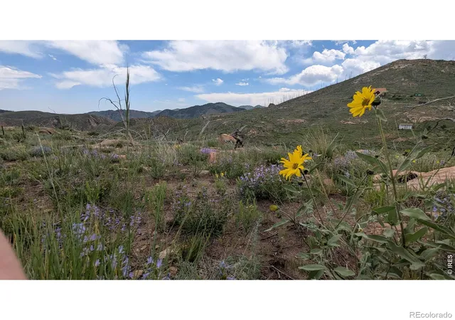 Photo 3 of Land for sale at 1324 Meadow Mountain Way, Livermore, CO 80536 | MLS# IR1043360 | Listing updated on 2026-10-08