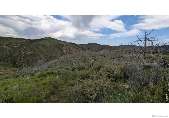Photo 3 of Land for sale at 1324 Meadow Mountain Way, Livermore, CO 80536 | MLS# IR1043360 | Listing updated on 2026-10-08