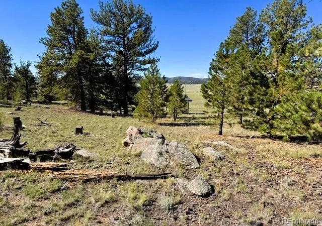 2nd image of 126 Zion Ct, Hartsel, CO 80449 | MLS# 1870725