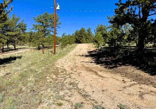 3rd image of 126 Zion Ct, Hartsel, CO 80449 | MLS# 1870725