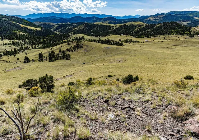 3rd image of 340 Huntley Pl, Cotopaxi, CO 81223 | MLS# 7880270