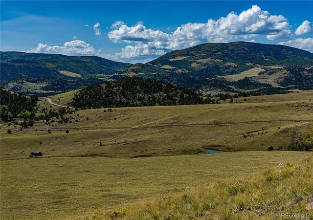 4th image of 340 Huntley Pl, Cotopaxi, CO 81223 | MLS# 7880270