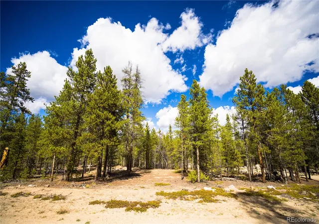 Photo 3 of Land for sale at 247 Juniper Dr, Leadville, CO 80461 | MLS# 4401028 | Listing updated on 2026-09-16