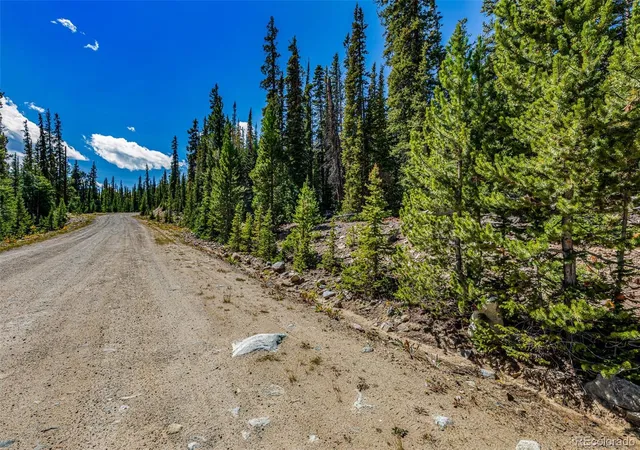 Photo 4 of Land for sale at 245 El Lobo Ln, Fairplay, CO 80440 | MLS# 7764877 | Listing updated on 2026-09-02