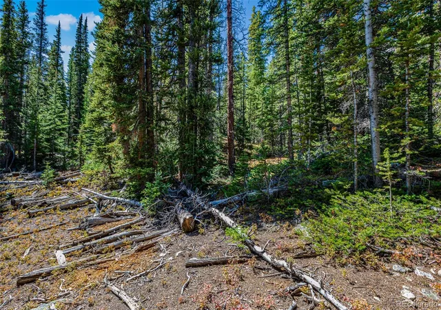 Photo 5 of Land for sale at 245 El Lobo Ln, Fairplay, CO 80440 | MLS# 7764877 | Listing updated on 2026-09-02