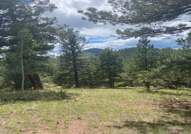 Homes for sale in Cripple Creek, CO | 216 & 252 Troy Dr, Cripple Creek, CO 80813 | MLS# 5715304