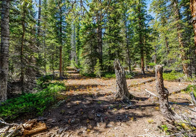 Photo 4 of Land for sale at 112 Sunshine Dr, Fairplay, CO 80440 | MLS# 6034140 | Listing updated on 2026-10-13