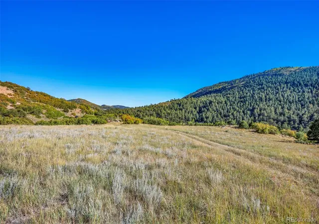 4th image of 92 Bear Trax Dr, Canon City, CO 81212 | MLS# 8275742