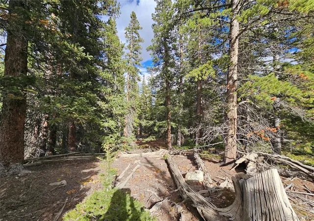 Photo 1 of Land for sale at 617 Gold Trl Cir, Fairplay, CO 80440 | MLS# 4248643 | Listing updated on 2026-08-23