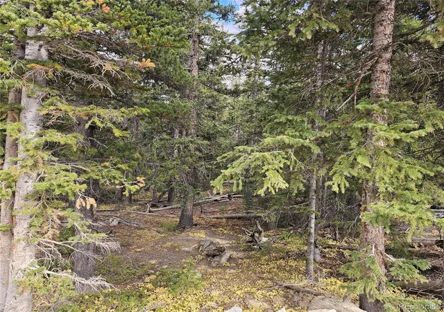 Photo 2 of Land for sale at 617 Gold Trl Cir, Fairplay, CO 80440 | MLS# 4248643 | Listing updated on 2026-08-23