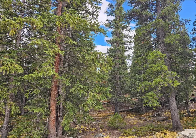 Photo 3 of Land for sale at 617 Gold Trl Cir, Fairplay, CO 80440 | MLS# 4248643 | Listing updated on 2026-08-23