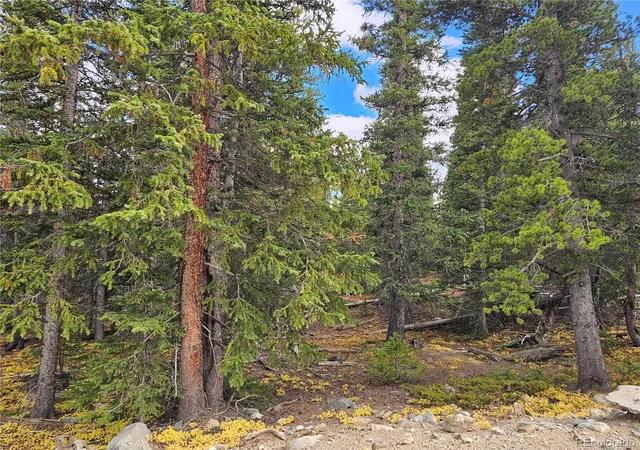 Photo 4 of Land for sale at 617 Gold Trl Cir, Fairplay, CO 80440 | MLS# 4248643 | Listing updated on 2026-08-23