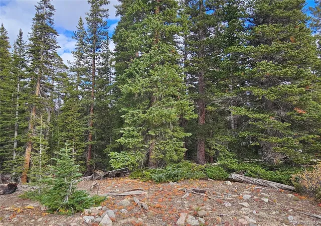 Photo 7 of Land for sale at 617 Gold Trl Cir, Fairplay, CO 80440 | MLS# 4248643 | Listing updated on 2026-08-23