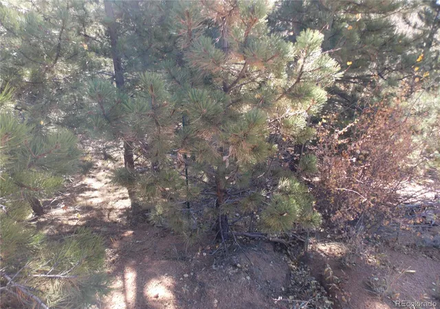 Homes for sale in Cripple Creek, CO | 1944 May Queen Dr, Cripple Creek, CO 80813 | MLS# 5859509