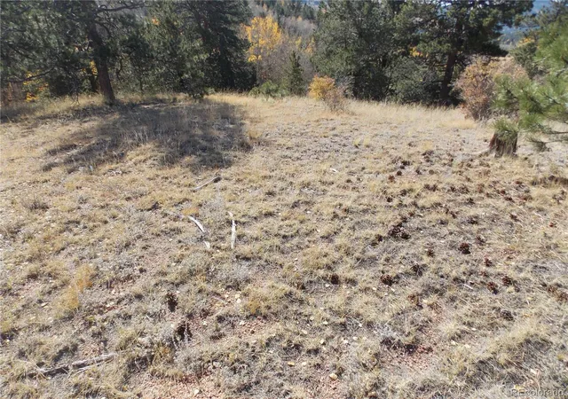 Homes for sale in Cripple Creek, CO | 1944 May Queen Dr, Cripple Creek, CO 80813 | MLS# 5859509
