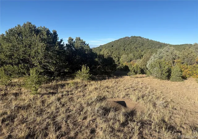 4th image of Corral, Cotopaxi, CO 81223 | MLS# 4003395