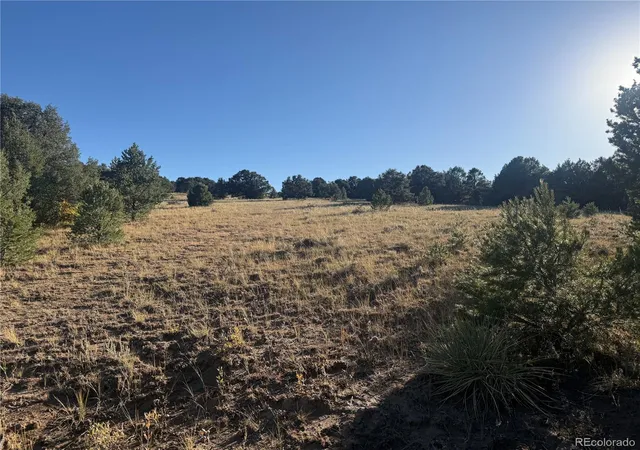 5th image of Corral, Cotopaxi, CO 81223 | MLS# 4003395