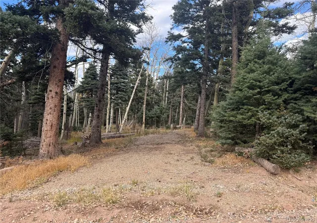 Homes for sale in Fort Garland, CO | 2662 Petito Dr, Fort Garland, CO 81133 | MLS# 7348531