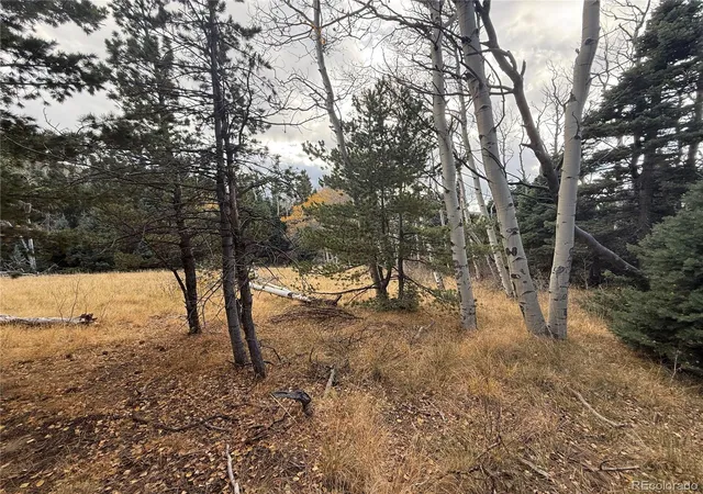 Homes for sale in Fort Garland, CO | 2662 Petito Dr, Fort Garland, CO 81133 | MLS# 7348531