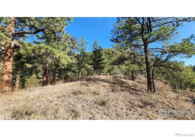 Photo 3 of Land for sale at 84 Copper Hl Rd, Glen Haven, CO 80532 | MLS# IR1045985 | Listing updated on 2026-09-18