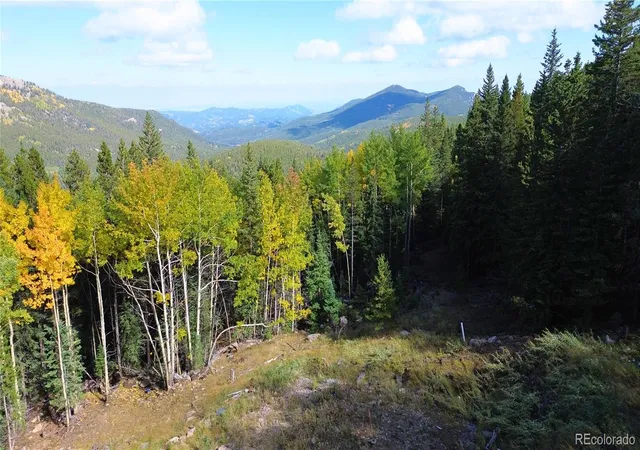 Homes for sale in Idaho Springs, CO | 429 Sawmill Ln, Idaho Springs, CO 80452 | MLS# 5794569