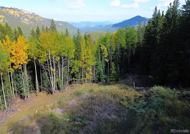 Homes for sale in Idaho Springs, CO | 429 Sawmill Ln, Idaho Springs, CO 80452 | MLS# 5794569