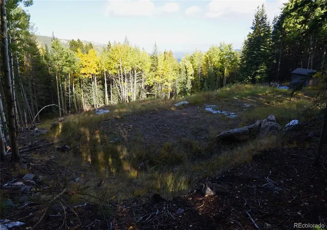 Homes for sale in Idaho Springs, CO | 429 Sawmill Ln, Idaho Springs, CO 80452 | MLS# 5794569