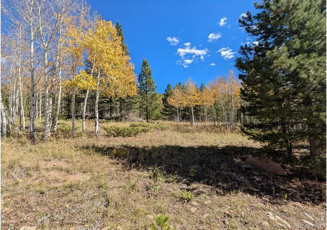 4th image of Bear Gulch Rd, Red Feather Lakes, CO 80545 | MLS# IR1046280