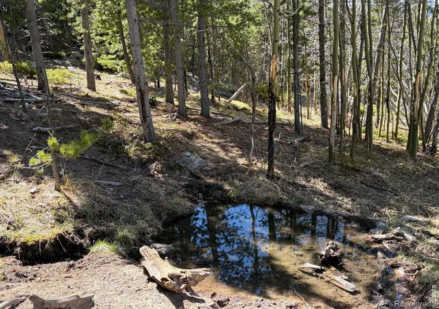1st image of Bear Gulch Rd, Red Feather Lakes, CO 80545 | MLS# IR1046280