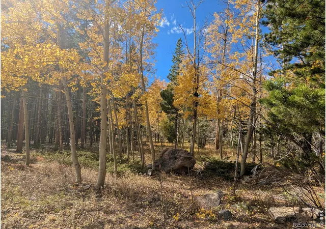 5th image of Bear Gulch Rd, Red Feather Lakes, CO 80545 | MLS# IR1046280