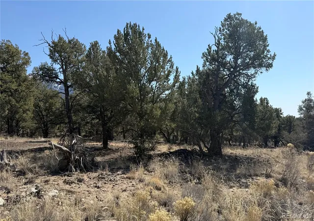 Homes for sale in Crestone, CO | 1872 Rockyview Way, Crestone, CO 81131 | MLS# 6041551