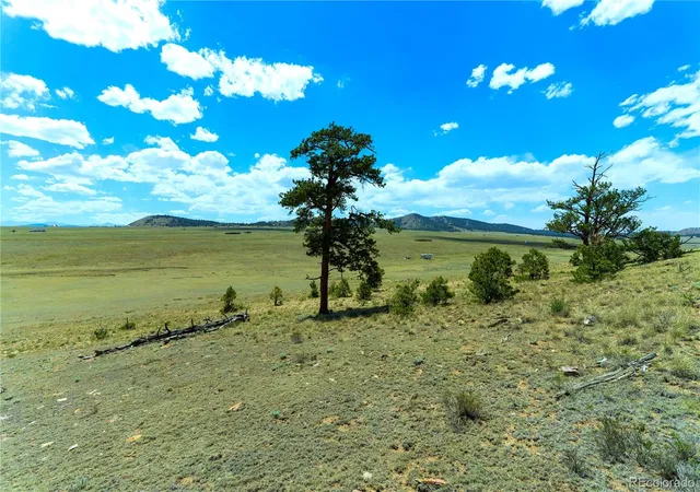 Homes for sale in Hartsel, CO | 1408 Larimer Dr, Hartsel, CO 80449 | MLS# 7931933
