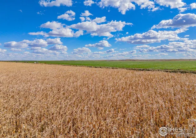Photo 4 of House for sale at 14805 County Rd 12, Fort Morgan, CO 80701 | MLS# IR1046747 | Listing updated on 2026-09-21