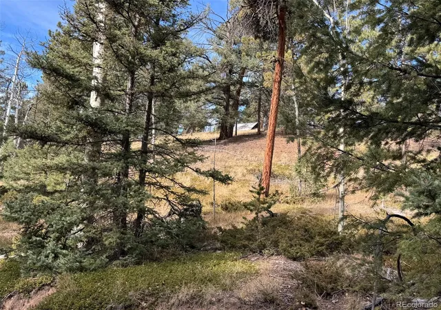 Homes for sale in Florissant, CO | 0 Arrowhead Rd, Florissant, CO 80816 | MLS# 2678153