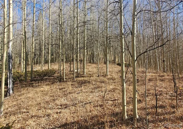 Photo 1 of Land for sale at Lot's 6414 & 6415 Bronfman Rd, Fort Garland, CO 81133 | MLS# 2592840 | Listing updated on 2025-12-30